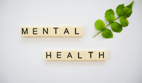 Mental Health Counseling specializing in DBT